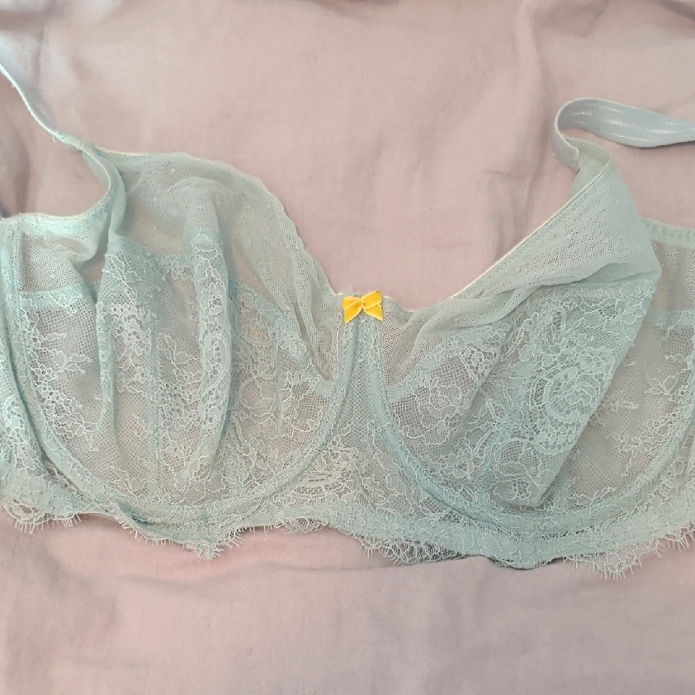 Cleo By Panache Lace Underwire Bra in Light Green Size 38F